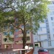 rent an apartment in Burgas